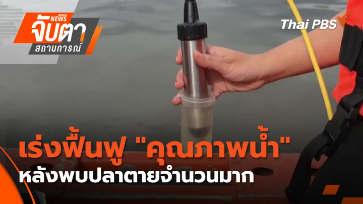 เร่งฟื้นฟู "คุณภาพน้ำ" หลังพบปลาตายจำนวนมาก