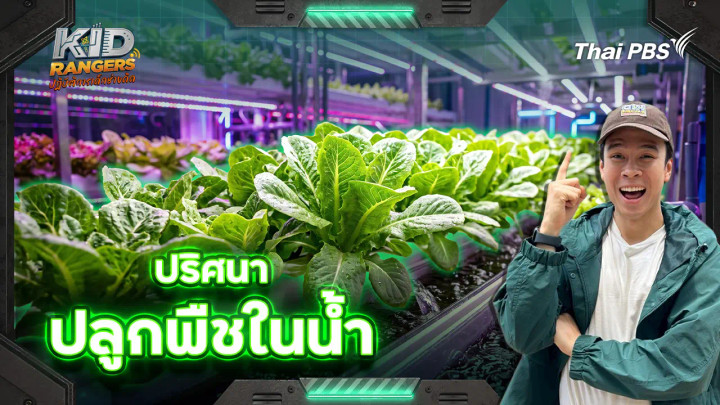 ปริศนาปลูกพืชในน้ำ