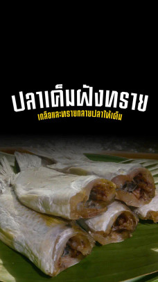 เอาปลาไปฝังทรายทำไม 