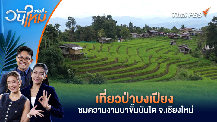 เที่ยวป่าบงเปียง ชมความงามนาขั้นบันได จ.เชียงใหม่