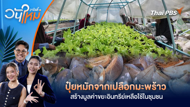 ปุ๋ยหมักจากเปลือกมะพร้าวสร้างมูลค่าขยะอินทรีย์เหลือใช้ในชุมชน จ.ปัตตานี