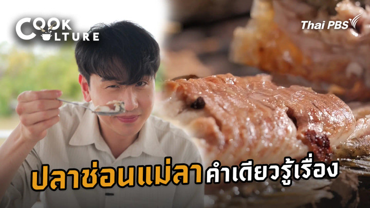 ปลาช่อนแม่ลา คำเดียวรู้เรื่อง