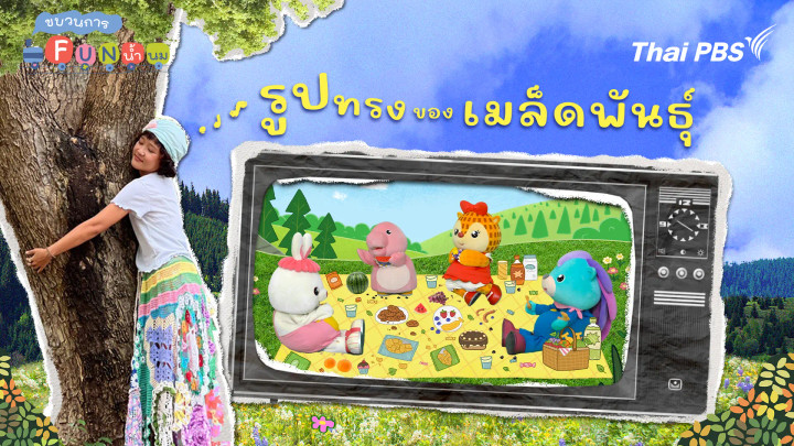 รูปทรงของเมล็ด