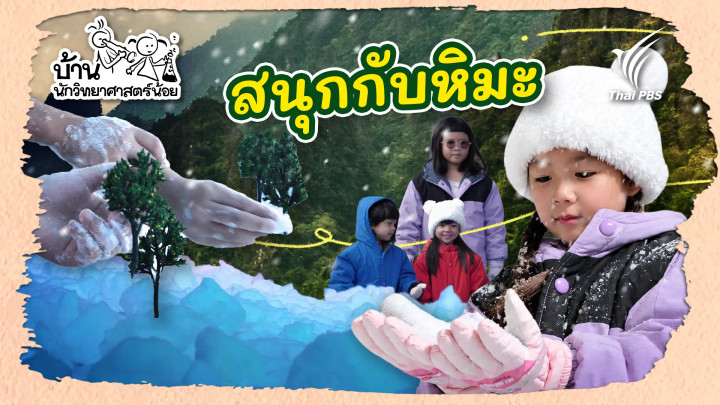 สนุกกับหิมะ