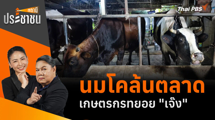 นมโคล้นตลาด เกษตรกรทยอย "เจ๊ง"