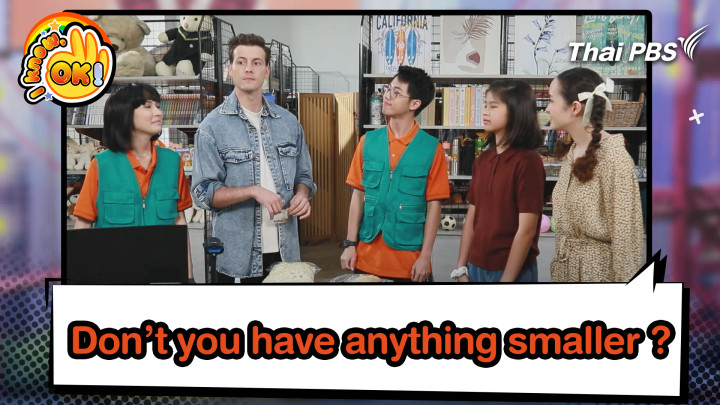 Don’t you have anything smaller ?