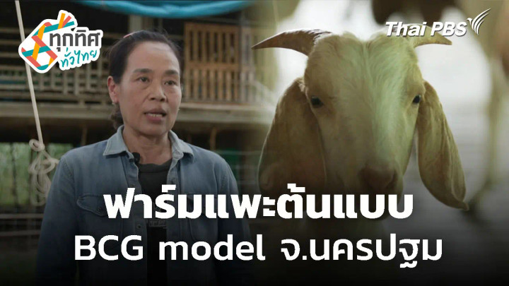 ฟาร์มแพะต้นแบบ BCG model จ.นครปฐม
