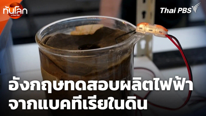 อังกฤษทดสอบผลิตไฟฟ้าจากแบคทีเรียในดิน