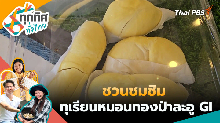 ชวนชมชิมทุเรียนหมอนทองป่าละอู GI