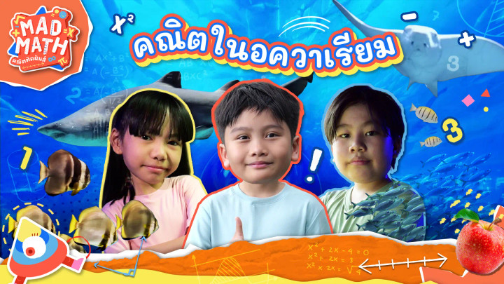 คณิตในอควาเรียม