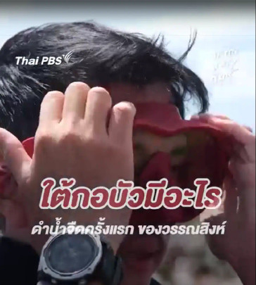 ใต้กอบัวมีอะไร
