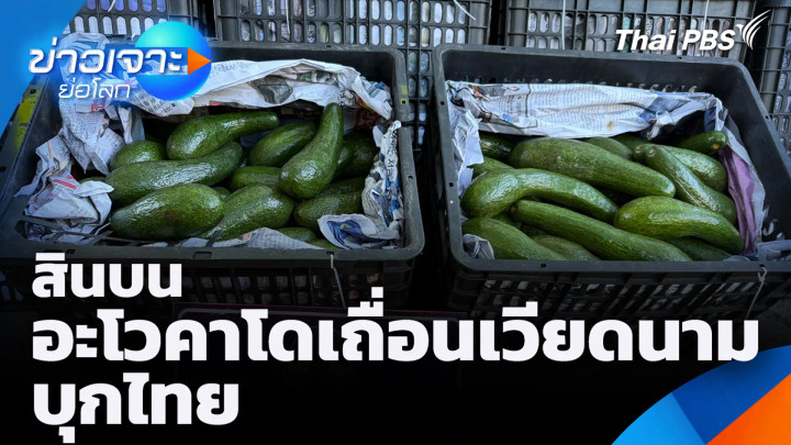 สินบนอะโวคาโดเถื่อนเวียดนามบุกไทย