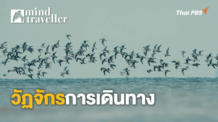 วัฏจักรการเดินทาง