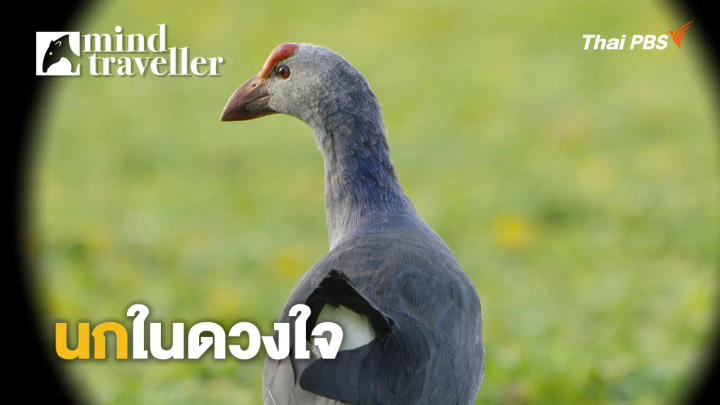 นกในดวงใจ