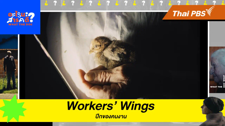 Workers’ Wings”  ปีกของคนงาน