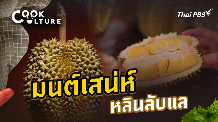 มนต์เสน่ห์หลินลับแล