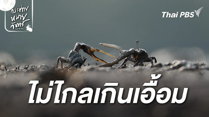 ไม่ไกลเกินเอื้อม