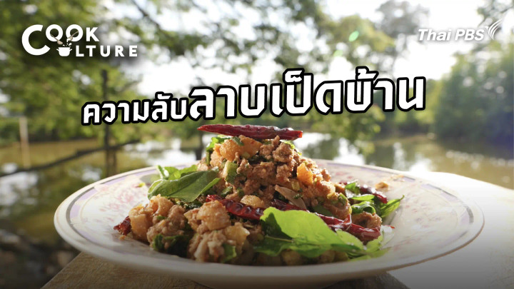 ความลับลาบเป็ดบ้าน