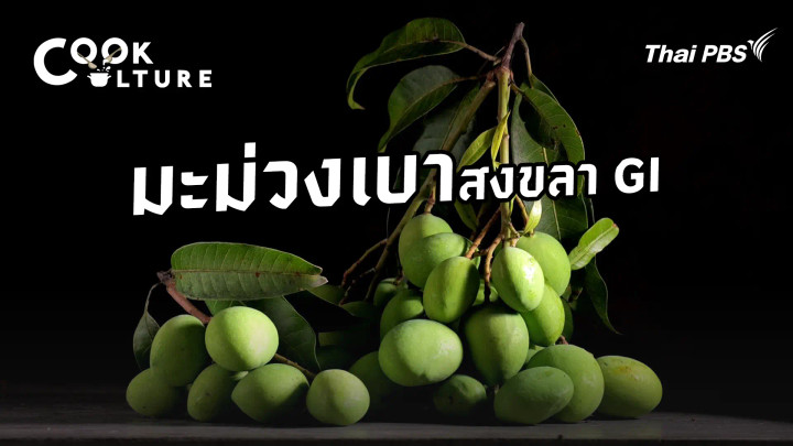 มะม่วงเบาสงขลา GI