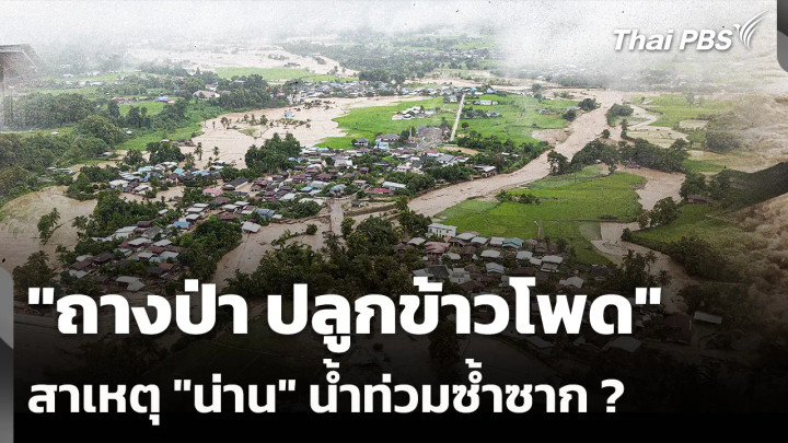 "ถางป่า ปลูกข้าวโพด" สาเหตุ "น่าน" น้ำท่วมซ้ำซาก จริงหรือ ?