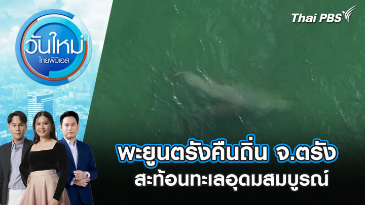 พะยูนตรังคืนถิ่น จ.ตรัง สะท้อนทะเลอุดมสมบูรณ์