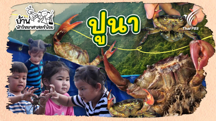 ปูนา
