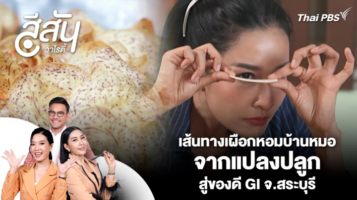 เส้นทางเผือกหอมบ้านหมอ จากแปลงปลูกสู่ของดี GI จ.สระบุรี | สีสันวาไรตี้