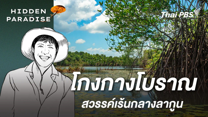 โกงกางโบราณ : สวรรค์เร้นกลางลากูน