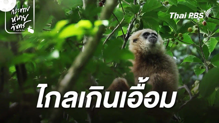 ไกลเกินเอื้อม