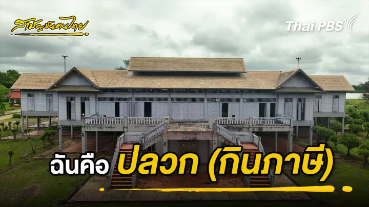 ฉันคือปลวก (กินภาษี)