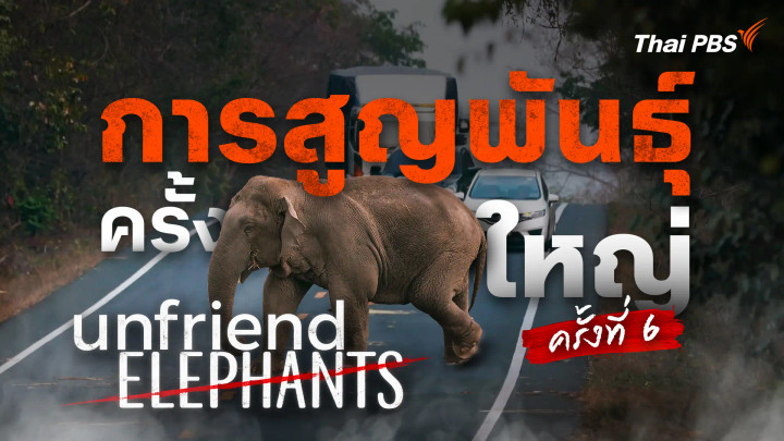 Unfriend Elephants : การสูญพันธุ์ครั้งใหญ่ครั้งที่หก