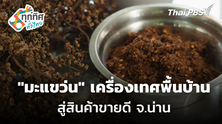 "มะแขว่น" เครื่องเทศพื้นบ้านสู่สินค้าขายดี จ.น่าน
