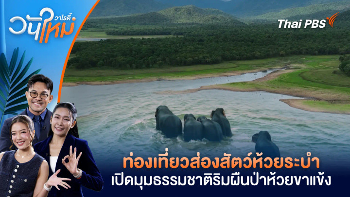 ท่องเที่ยวส่องสัตว์ห้วยระบำ เปิดมุมธรรมชาติริมผืนป่าห้วยขาแข้ง