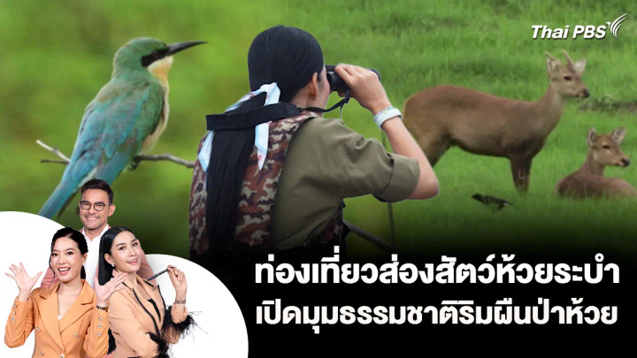 ท่องเที่ยวส่องสัตว์ห้วยระบำ เปิดมุมธรรมชาติริมผืนป่าห้วย