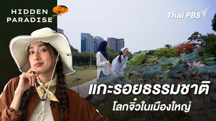 แกะรอยธรรมชาติ : โลกจิ๋วในเมืองใหญ่