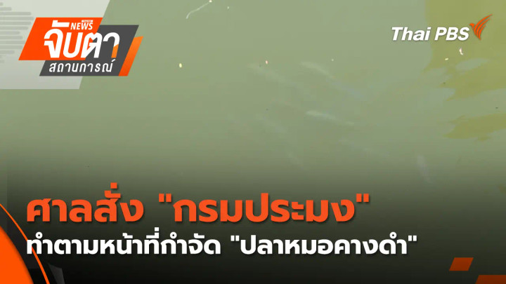 ศาลสั่ง "กรมประมง" ทำตามหน้าที่กำจัด "ปลาหมอคางดำ"