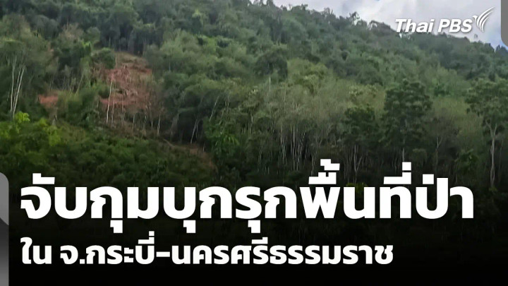 จับกุมบุกรุกพื้นที่ป่าใน จ.กระบี่-นครศรีธรรมราช 