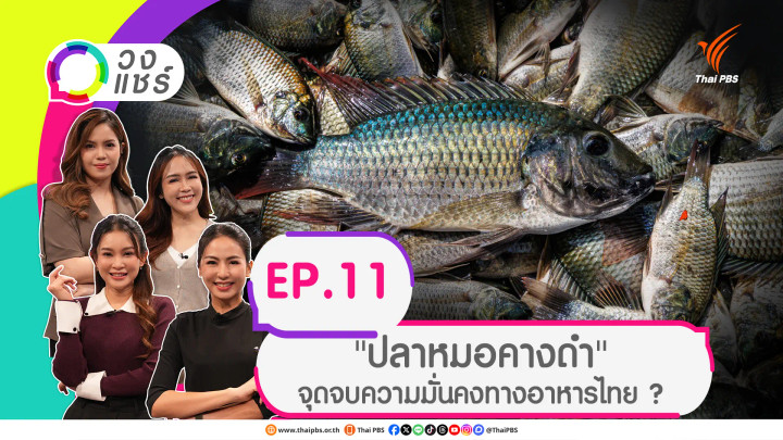 "ปลาหมอคางดำ" จุดจบความมั่นคงทางอาหารไทย ?