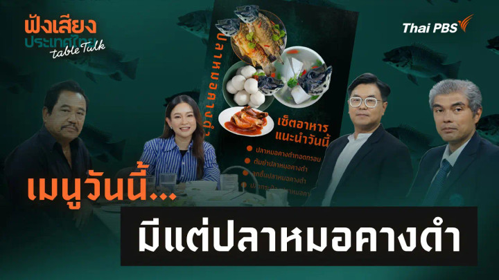 เมนูวันนี้… มีแต่ปลาหมอคางดำ