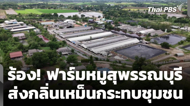 ร้อง! ฟาร์มหมูสุพรรณบุรี ส่งกลิ่นเหม็นกระทบชุมชน