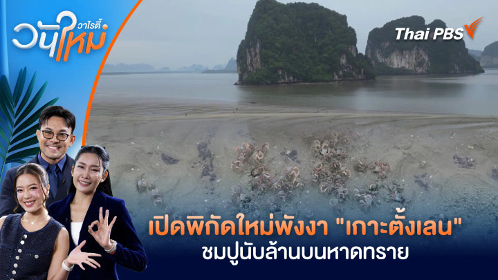 เปิดพิกัดใหม่พังงา "เกาะตั้งเลน" ชมปูนับล้านบนหาดทราย