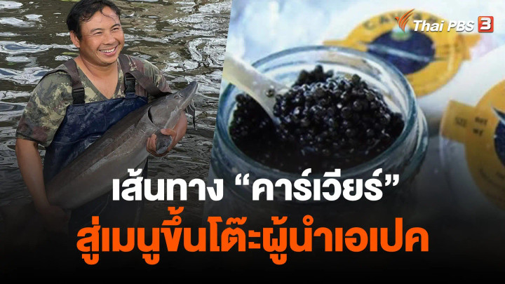 เส้นทาง "คาร์เวียร์" สู่เมนูขึ้นโต๊ะผู้นำเอเปค