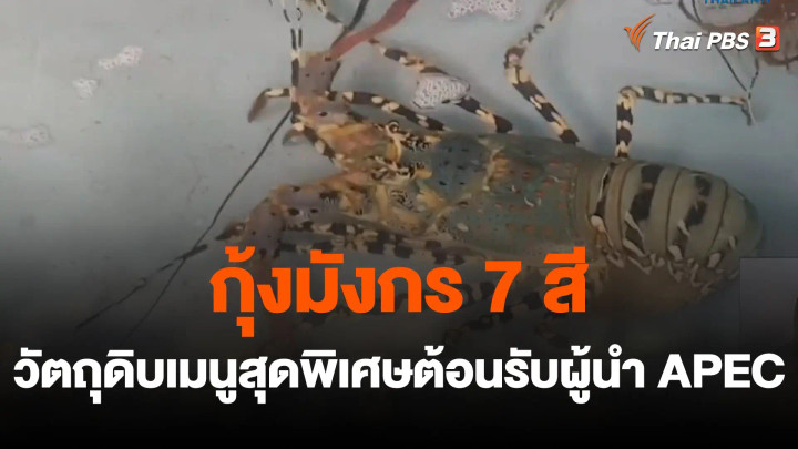 สีสันวาไรตี้ : กุ้งมังกร 7 สี วัตถุดิบเมนูสุดพิเศษต้อนรับผู้นำ APEC