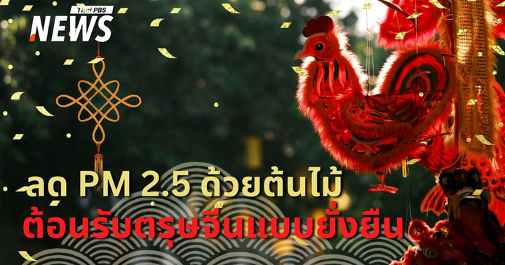 ตรุษจีนกับมลพิษทางอากาศ พลังของต้นไม้ในการลดฝุ่น PM 2.5