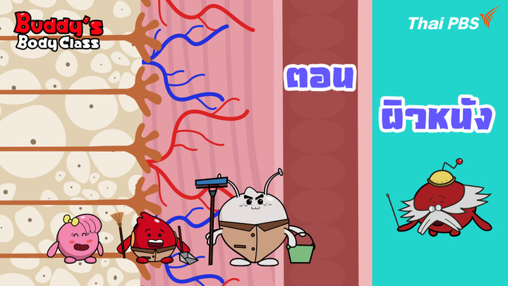 ผิวหนัง