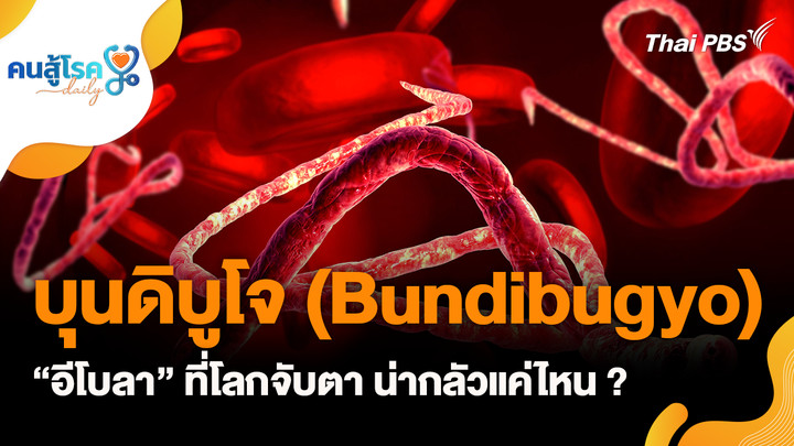 “อีโบลา” ที่โลกจับตา น่ากลัวแค่ไหน ?, เคี้ยวหมากฝรั่งรสมินต์แล้วจาม สัญญาณเตือนภูมิแพ้โพรงจมูก ?