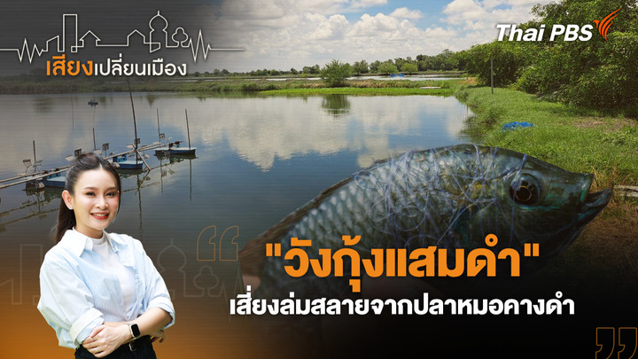 "วังกุ้งแสมดำ" เสี่ยงล่มสลายจากปลาหมอคางดำ