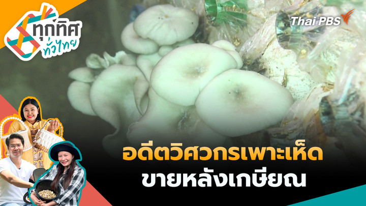 อดีตวิศวกรเพาะเห็ดขายหลังเกษียณ
