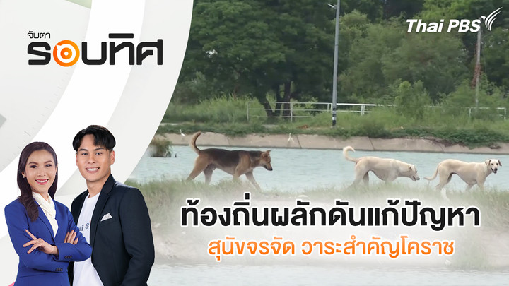 ท้องถิ่นผลักดันแก้ปัญหาสุนัขจรจัด วาระสำคัญโคราช