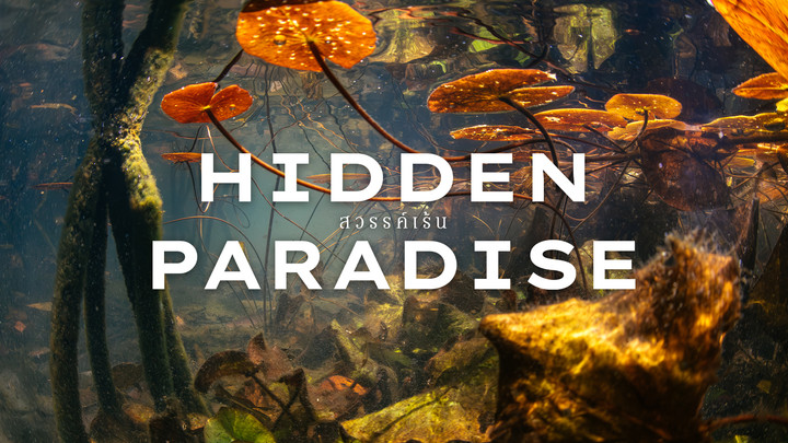 Hidden Paradise สวรรค์เร้น